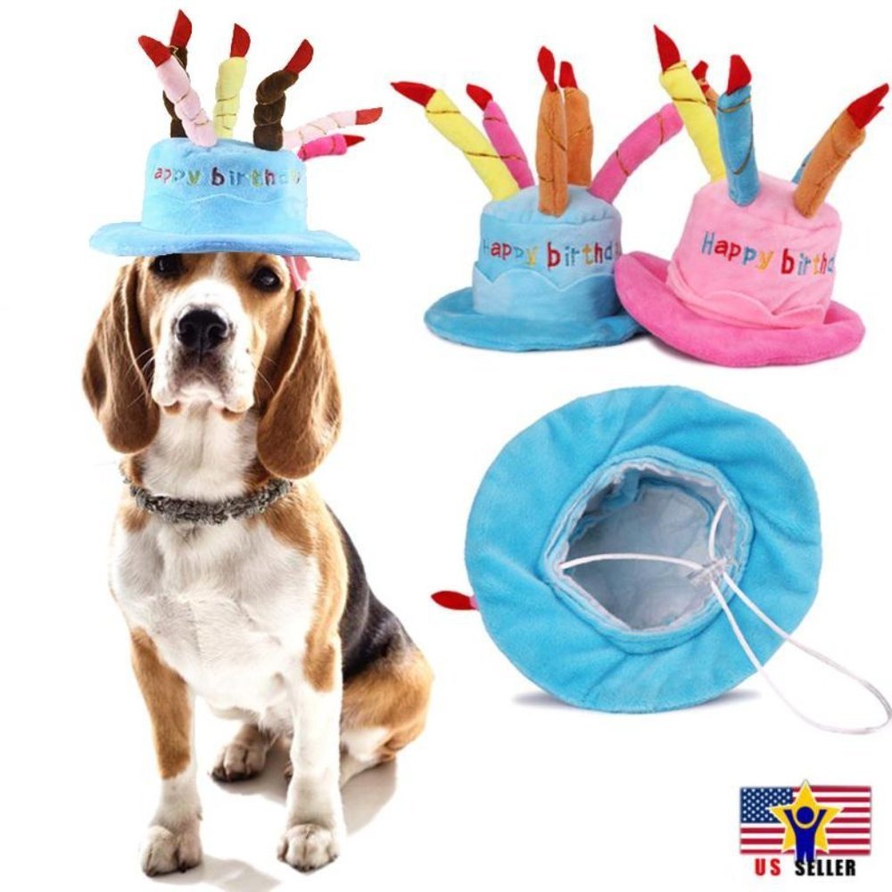 Blue Hat Cap Cake Candles Pet Birthday Costume Cosplay Puppy Dog Cat Christmas